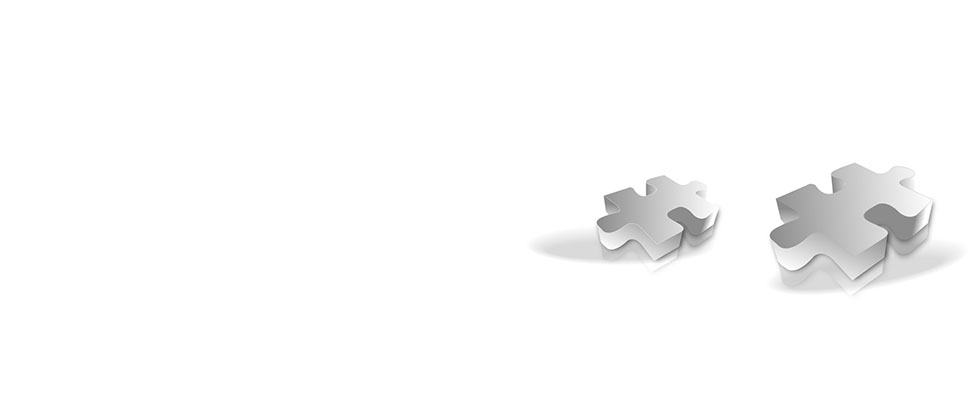 We help businesses solve their Customer Experience puzzle